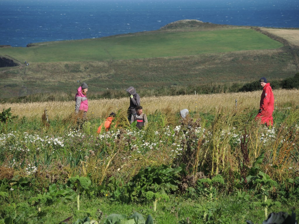 Laura in COCA farm (3)