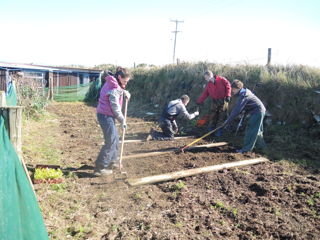 Laura in COCA farm (4)