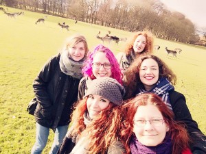 Phoenix_Park_deer