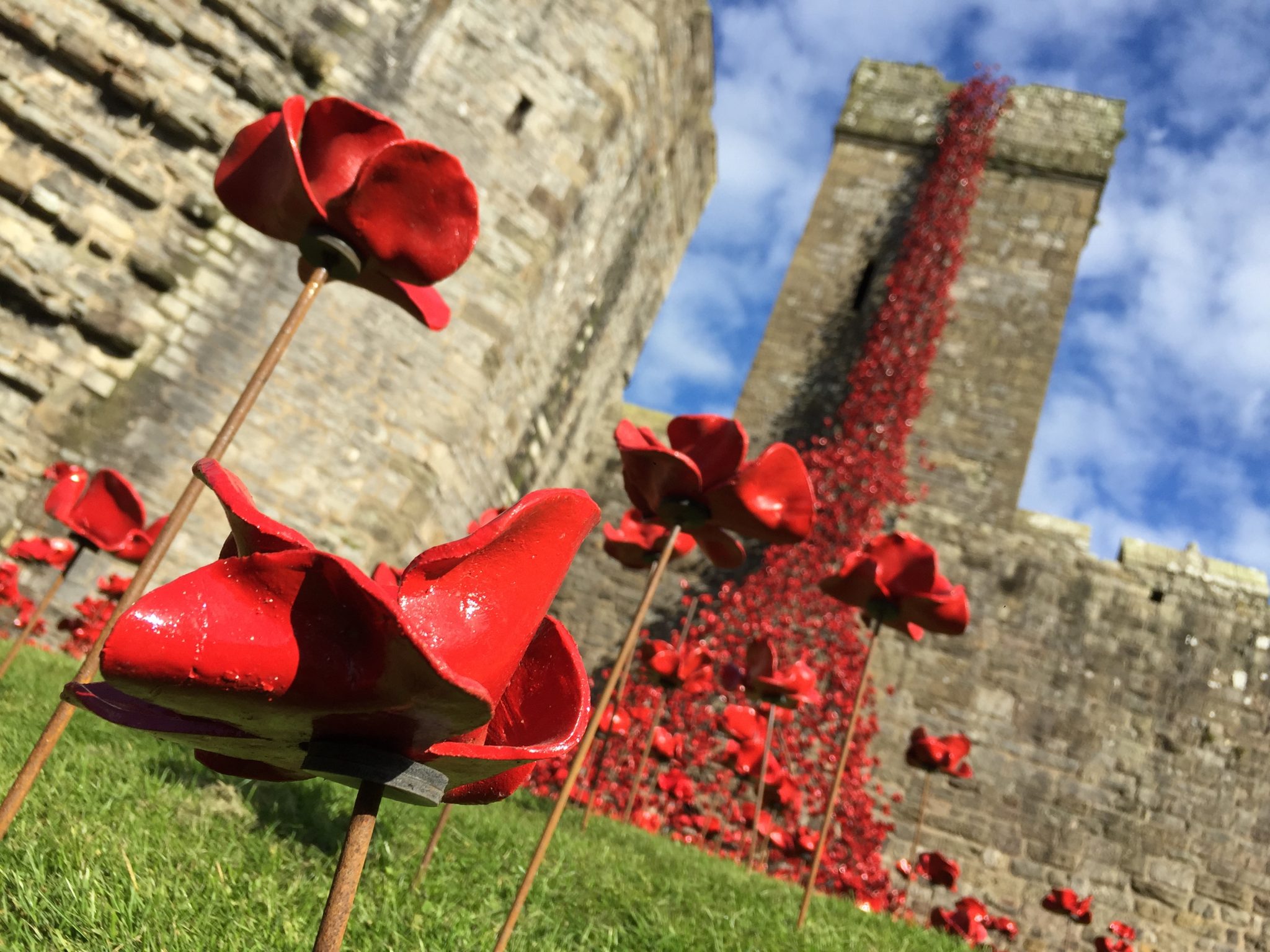 Caernarfon_Castle_Poppies_Sculpture_-_closeup_of_11