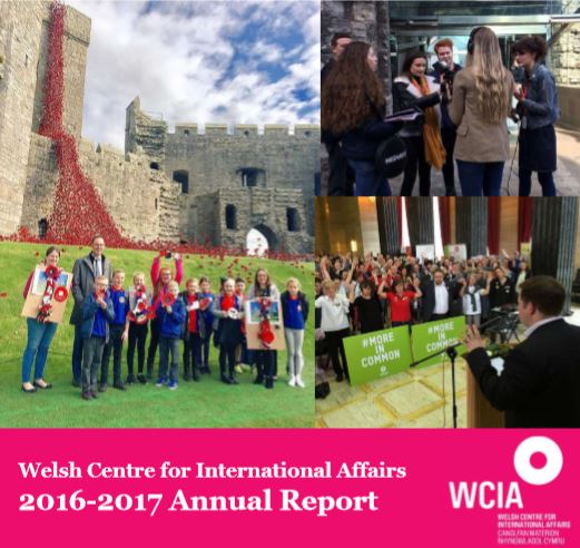 WCIA annual report screen grab