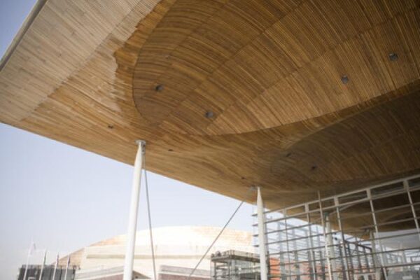 senedd