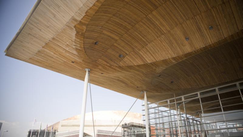 senedd