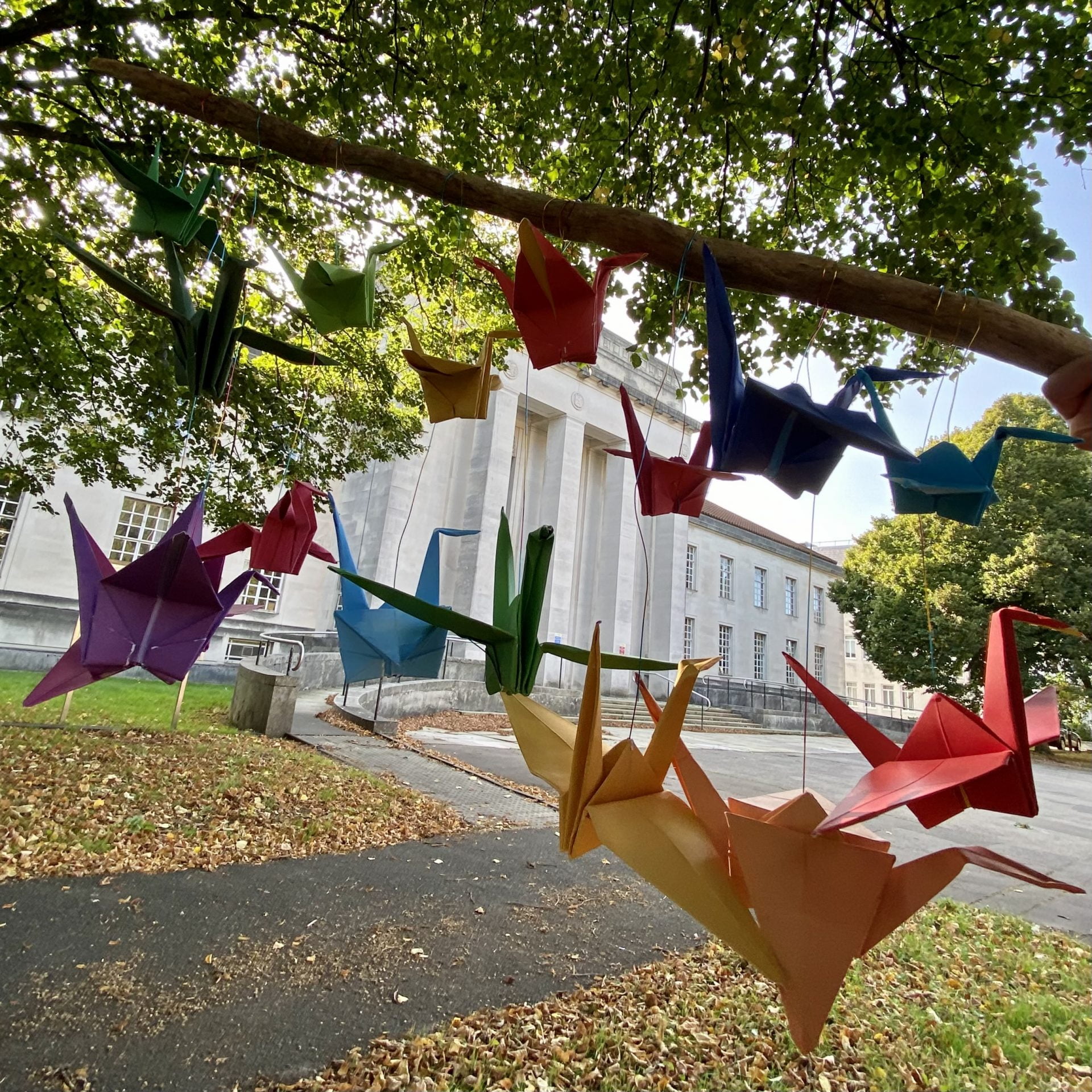 Peace Cranes outside Wales' Temple of Peace front