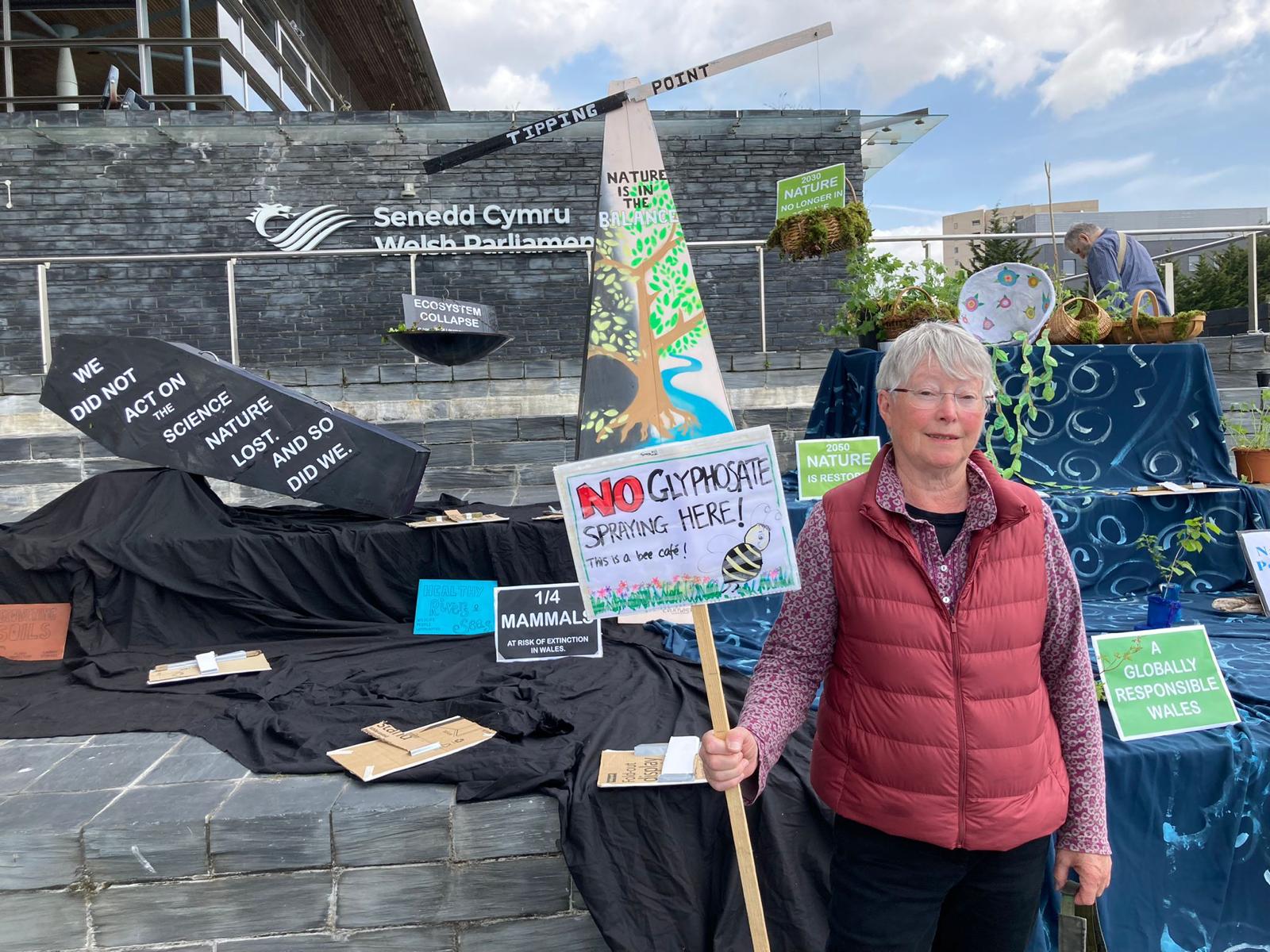 "Urgent Appeal to Welsh Senedd: Climate Cymru's 'Tipping Points' Rally ...