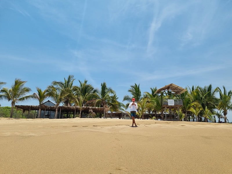 Palm trees and wooden building on a beach with a man standing in front