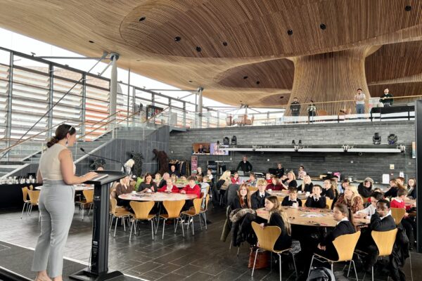 How to become a Peace School